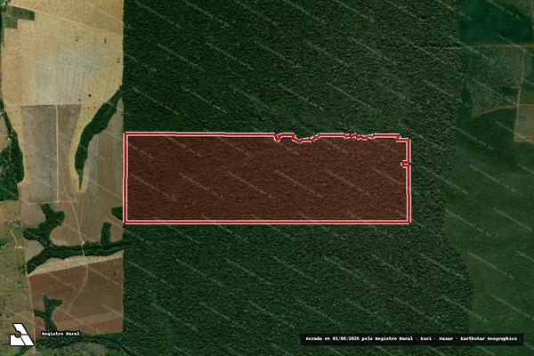Imagem de satélite de Infração da Flora em Machadinho D'Oeste - RO