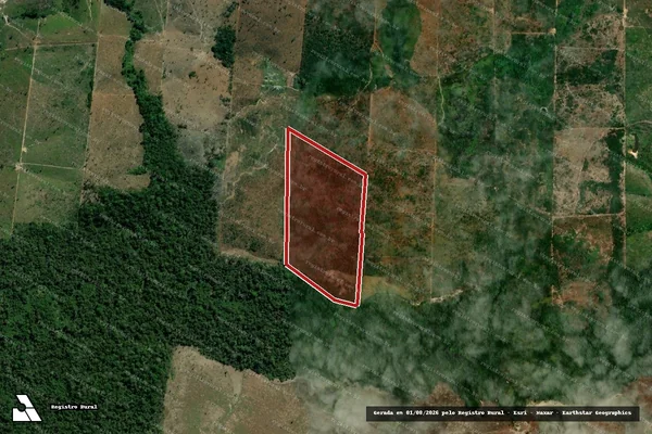 Imagem de satélite de Infração da Flora em Cotriguaçu - MT