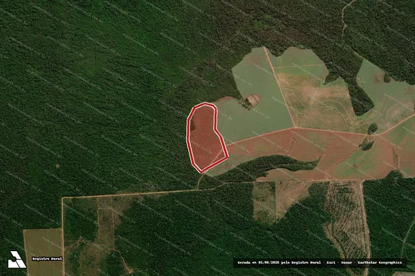 Imagem de satélite — Embargo IBAMA — Infração da Flora - Itanhangá/MT