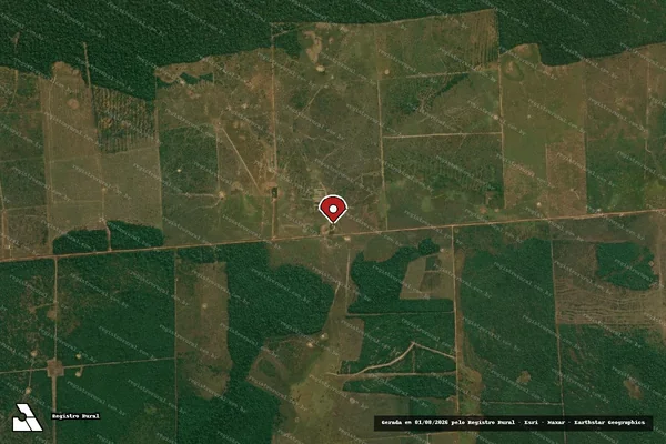 Imagem de satélite — Embargo Ambiental - Alta Floresta D'Oeste/RO