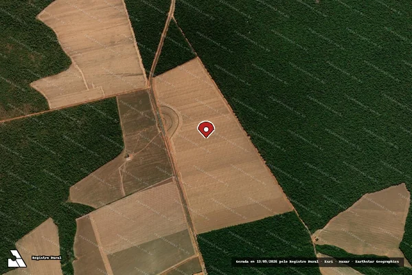Imagem de satélite de Infração Ambiental em Nova Maringá - MT (marcador da localização)