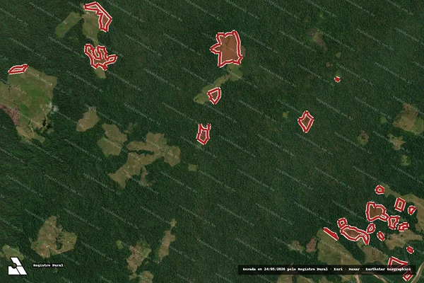 Imagem de satélite de Infração Ambiental em Sena Madureira - AC