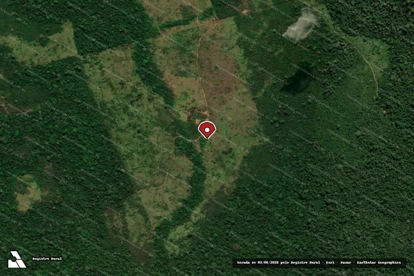 Imagem de satélite de Infração Ambiental em São Félix do Xingu - PA (marcador da localização)