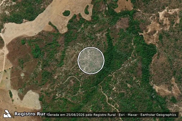 Imagem de satélite de Desmatamento em Teresina de Goiás - GO