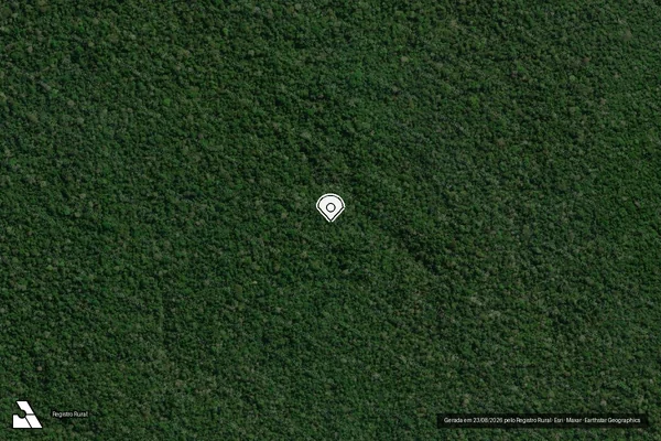 Imagem de satélite de Infração Ambiental em Aripuanã - MT (marcador da localização)
