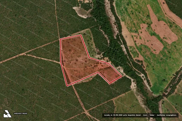 Imagem de satélite de Infração da Flora em General Carneiro - MT