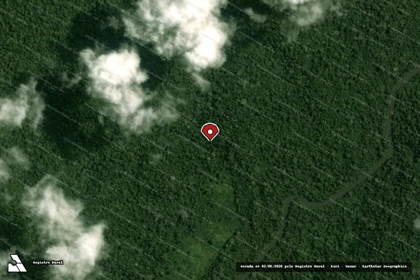 Imagem de satélite de Infração Ambiental em Pacajá - PA (marcador da localização)