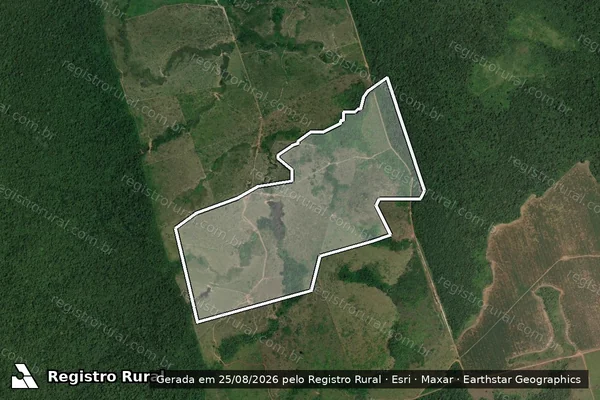 Imagem de satélite de Infração da Flora em Novo Progresso - PA