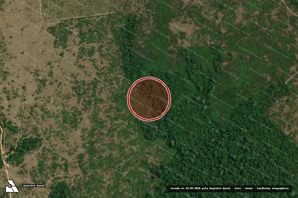 Imagem de satélite de Infração Ambiental em Manicoré - AM