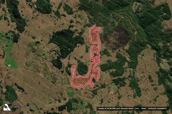Imagem de satélite de Infração da Flora em São Francisco de Paula - RS