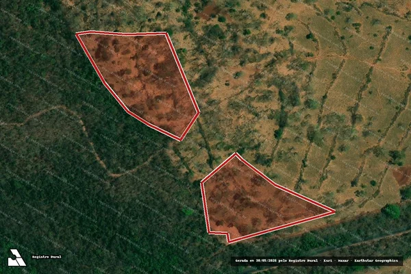 Imagem de satélite — Embargo IBAMA — Infração da Flora — Araguari/MG