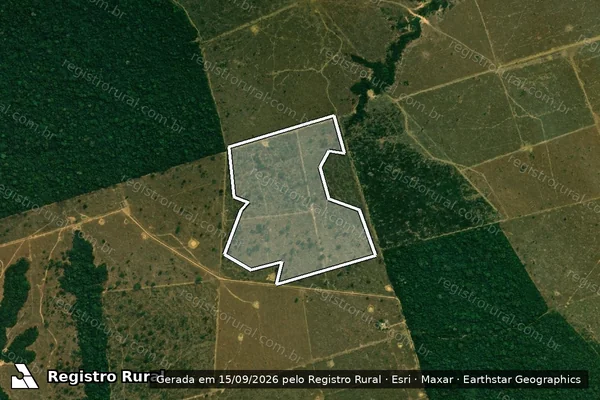 Imagem de satélite de Infração da Flora em Porto Velho - RO