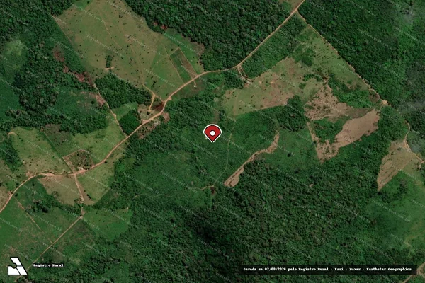Imagem de satélite de Infração da Flora em Manaus - AM (marcador da localização)