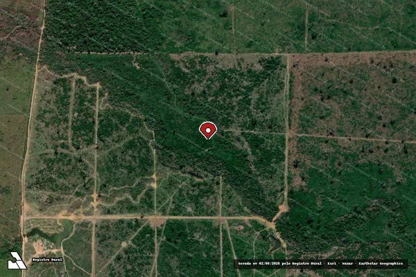 Imagem de satélite de Infração da Flora em Porto Velho - RO (marcador da localização)