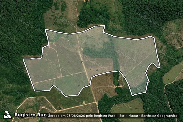 Imagem de satélite de Infração Ambiental em Itaituba - PA