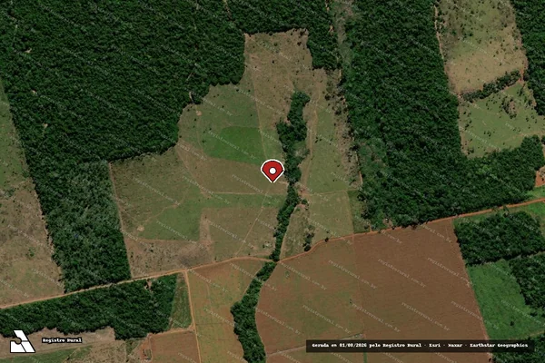 Imagem de satélite de Infração da Flora em Aripuanã - MT (marcador da localização)