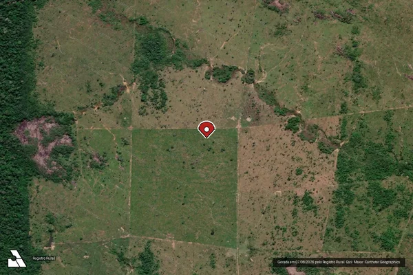 Imagem de satélite de Infração Ambiental em Lábrea - AM (marcador da localização)