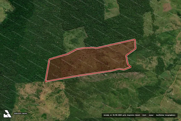 Imagem de satélite de Infração da Flora em Apuí - AM