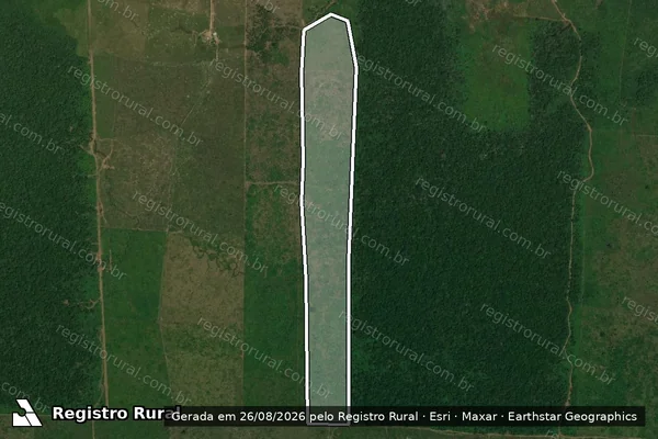 Imagem de satélite de Infração da Flora em Canutama - AM