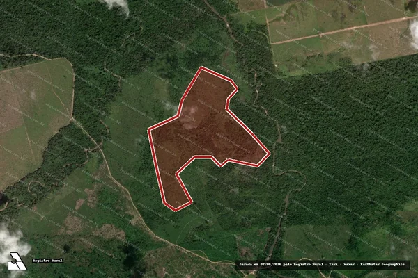 Imagem de satélite de Infração da Flora em Novo Progresso - PA
