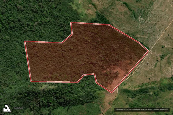 Imagem de satélite de Infração da Flora em São Félix do Xingu - PA