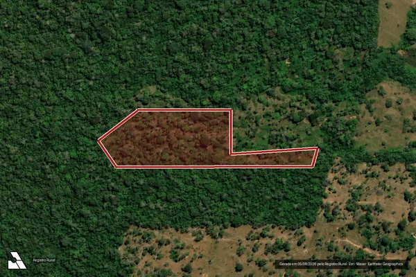 Imagem de satélite de Infração da Flora em Porto Velho - RO