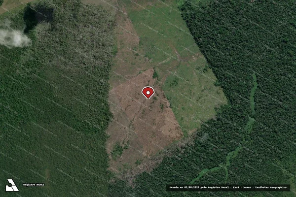 Imagem de satélite — Embargo Ambiental - Manaus/AM