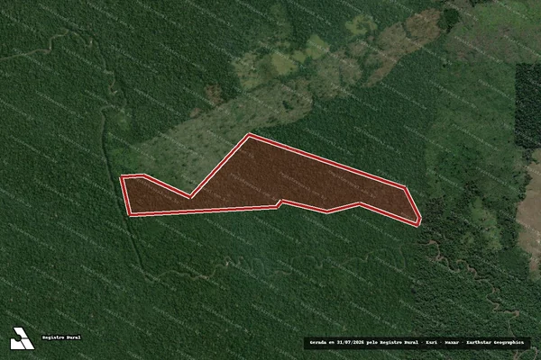 Imagem de satélite de Infração Ambiental em Lábrea - AM