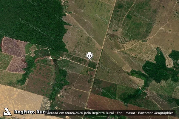 Imagem de satélite de Infração Ambiental em Goianésia do Pará - PA (marcador da localização)