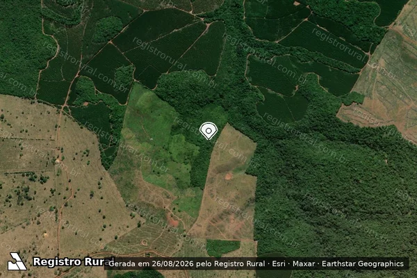 Imagem de satélite de Infração da Flora em Cidelândia - MA (marcador da localização)