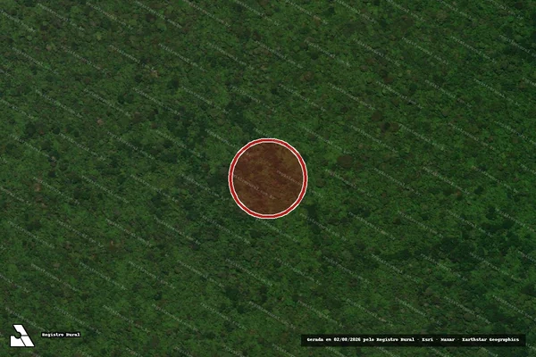 Imagem de satélite de Infração Ambiental em Nova Monte Verde - MT