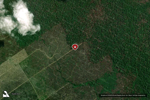 Imagem de satélite — Embargo IBAMA — Infração da Flora - Manicoré/AM
