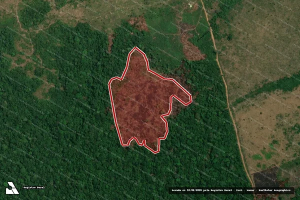 Imagem de satélite — Embargo IBAMA — Infração da Flora - Apuí/AM