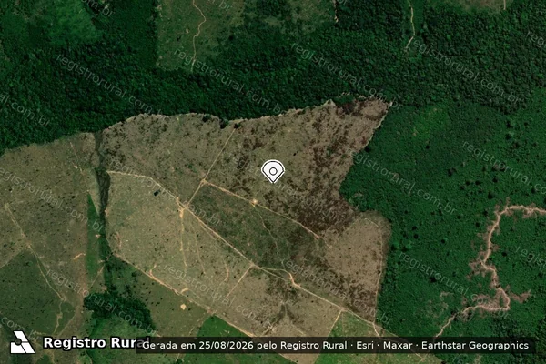 Imagem de satélite de Infração Ambiental em Apuí - AM (marcador da localização)