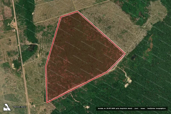 Imagem de satélite de Infração Ambiental em Novo Progresso - PA