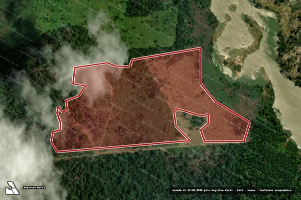 Imagem de satélite de Infração da Flora em Porto Velho - RO