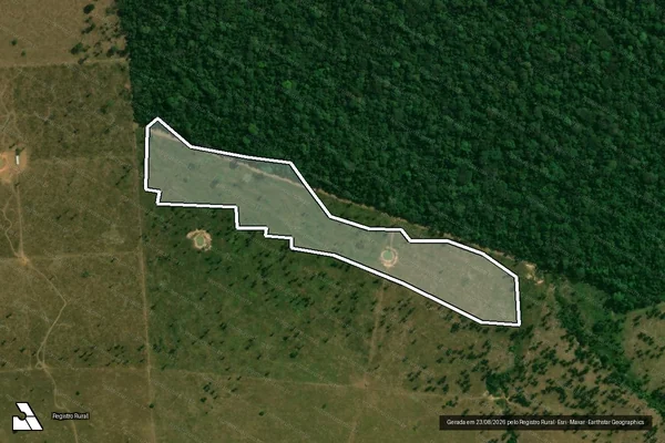 Imagem de satélite de Infração da Flora em Guajará-Mirim - RO