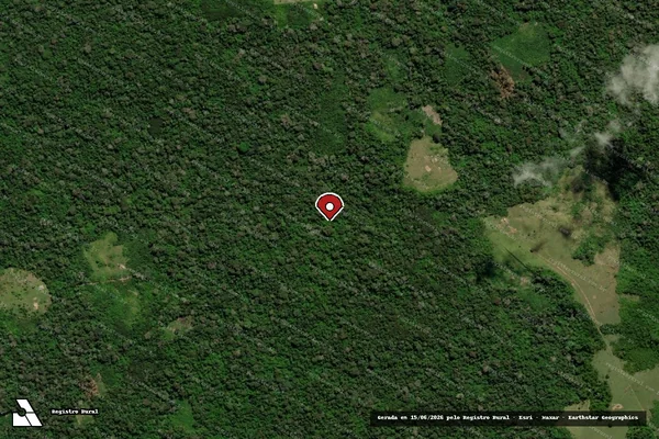 Imagem de satélite de Infração da Flora em Brasiléia - AC (marcador da localização)