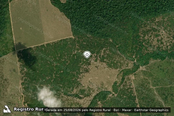 Imagem de satélite de Infração Ambiental em Humaitá - AM (marcador da localização)