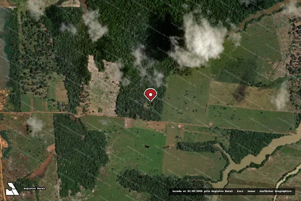 Imagem de satélite de Infração da Flora em Porto Velho - RO (marcador da localização)