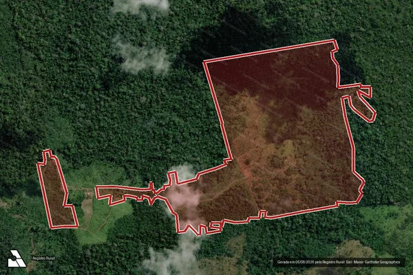 Imagem de satélite — Embargo IBAMA — Infração da Flora - Rurópolis/PA