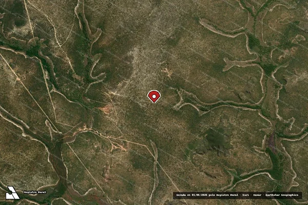 Imagem de satélite de Infração Ambiental em Cocos - BA (marcador da localização)