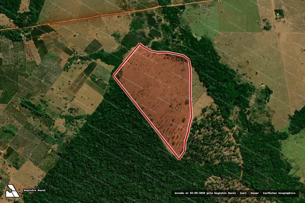 Imagem de satélite de Infração da Flora em Juína - MT