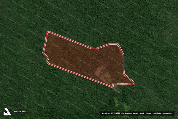 Imagem de satélite de Infração Ambiental em São Félix do Xingu - PA
