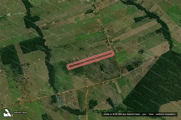 Imagem de satélite — Embargo IBAMA — Infração da Flora - Costa Marques/RO