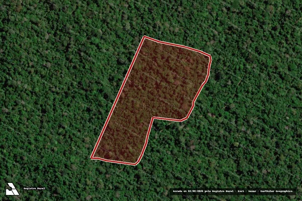 Imagem de satélite de Infração da Flora em Anapu - PA