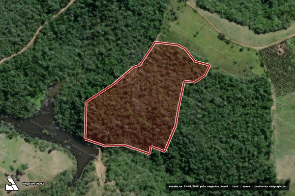 Imagem de satélite de Infração da Flora em Jaguaripe - BA