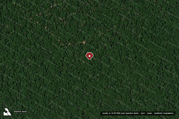 Imagem de satélite de Infração da Flora em Prainha - PA (marcador da localização)