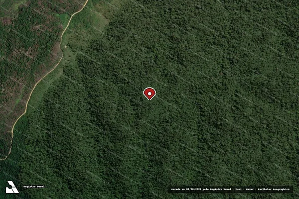Imagem de satélite de Infração Ambiental em Itinga do Maranhão - MA (marcador da localização)
