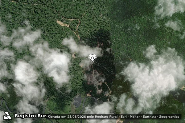 Imagem de satélite de Infração Ambiental em Prainha - PA (marcador da localização)